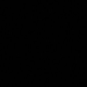 Meet your Posher, Bria